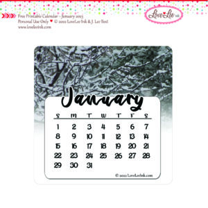 Free Printable Calendar ~ January 2023 ~ Personal Use Only ~ Snowy Branches